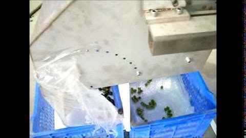 Color sorting machine - ( www.selectionmachines.com )