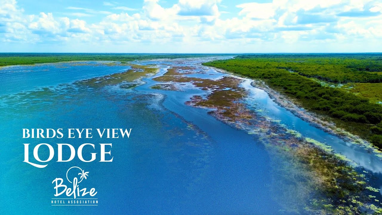 A Birdwatcher’s Paradise!