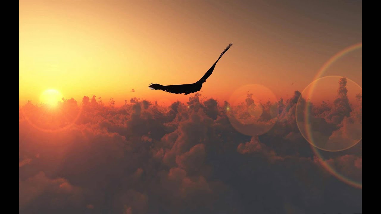 Guy Laborde - Garuda ( arrangements by Kenny Clarys )