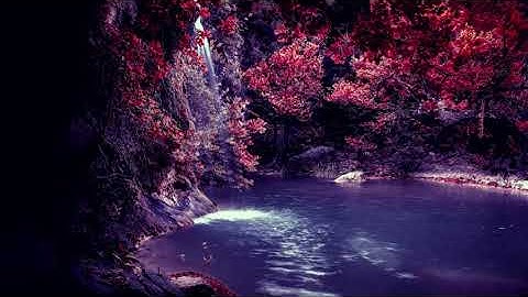 سورة الفاتحة + سورة الاخلاص + سورة الفلق + سورة الناس مكررة 7 مرات