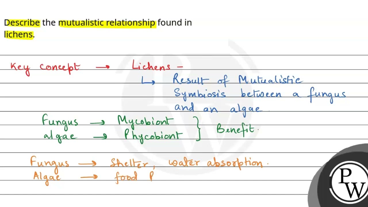 Describe the mutualistic relationship found in lichens.....