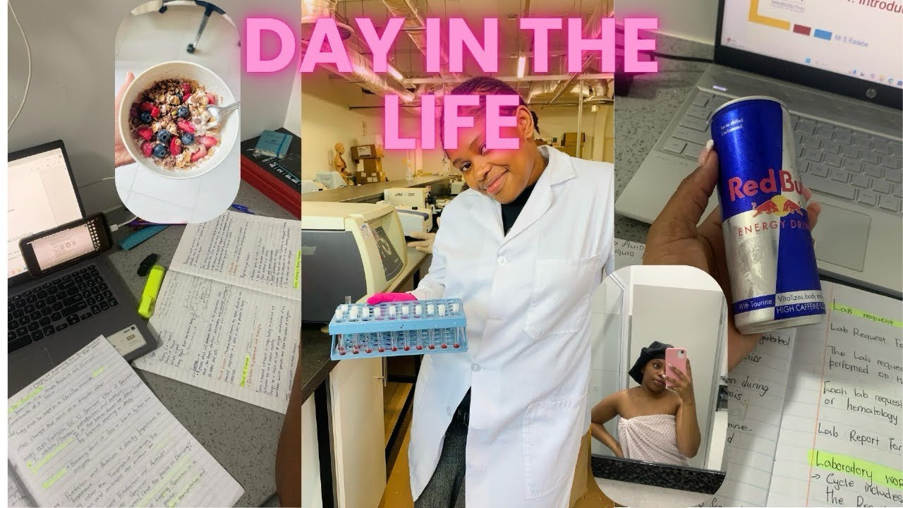 A Day in the life of Medical scientist🧑‍🔬 ️# roadto200subbies🎀 - YouTube