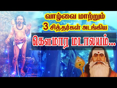 வாழ்வை மாற்றும் 3 சித்தர்கள் அடங்கிய கௌமார மடாலயம்..| Pranavam TV