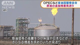 OPECなど産油国　原油の追加増産見送り(2021年11月5日)