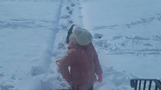 Snowfall Teaneck New Jersey 2022