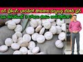 🚨Jih*adi Dr*Ug: ఇది తీసుకుంటే ఆ తర్వాత?🔥Operation Rush Pilla🎯 AmitShah & NCB? |Journalist SivaPrasad