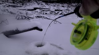 СЛАБОНЕРВНЫМ РЫБАКАМ ЛУЧШЕ НЕ СМОТРЕТЬ! !!ТОТ СЛУЧАЙ КОГДА НАШЕЛ ТУ САМУЮ ЛУНКУ МЕЧТЫ!!