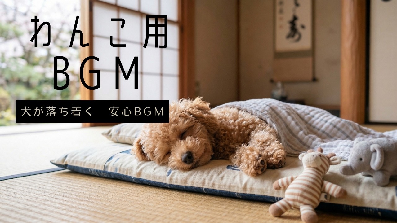 【すぐ眠るzzz】犬がよく寝る安心BGM｜犬が落ち着くリラックス音楽｜お昼の休息・留守番に｜2時間｜Dog Sleep Music | Calming Music for Dogs | 2 Hours