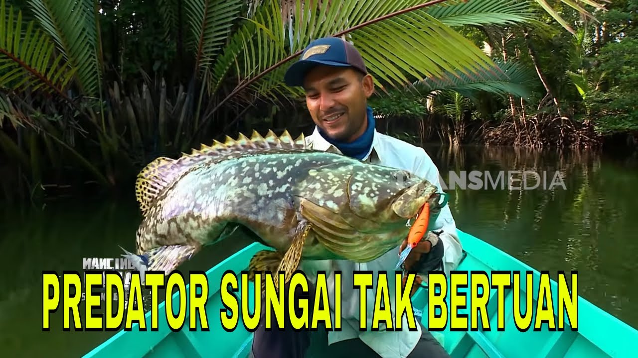 [FULL] PREDATOR SUNGAI TAK BERTUAN | MANCING MANIA STRIKE BACK (31/01/26)
