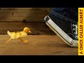 How to make a duckling follow you  busting myths