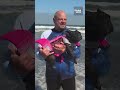 Hang ten: Pups have paws-itively tubular time at California’s World Dog Surfing Championships 🌊🐶