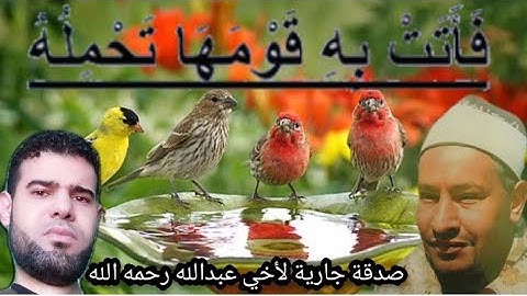 من اجمل التلاوة للشيخ طه الصفطي رحمه الله "ما تيسر من سورة مريم " فأنت به قومها تحمله