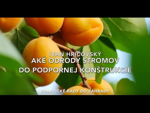 Video: Odrody Repy