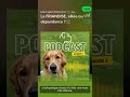 Retrouvez nos PODCASTS sur vos plateformes d'écoute ! 🎧✨ #dog #chien #educationcanine