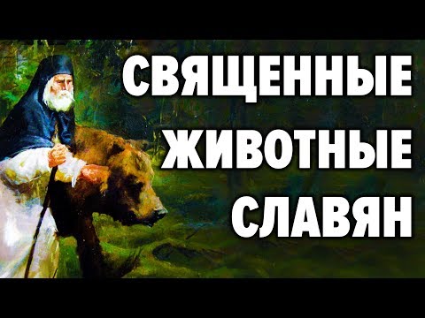 Сакральные животные у славян. Почему именно медведь символ нашей страны