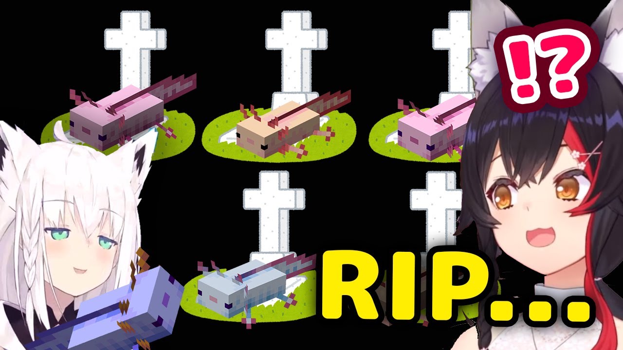 Mio Finds Out What Fubuki Does To Non-Blue Axolotls【ENG Sub/Hololive】