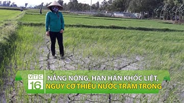 Nắng nóng, hạn hán khốc liệt, nguy cơ thiếu nước trầm trọng | VTC16