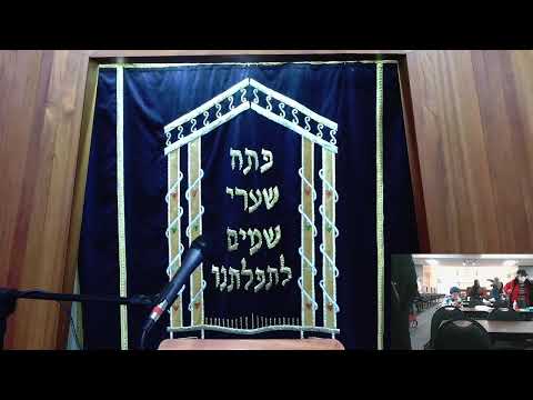 Tehillim & Torah | Press the Olives (Chapter 34/Tetzaveh)