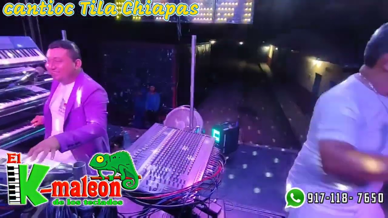 El camaleón de los teclados - el regreso a mi tierra