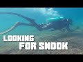 Diving the Boca Raton Inlet looking for Snook! | Tyler Nolan