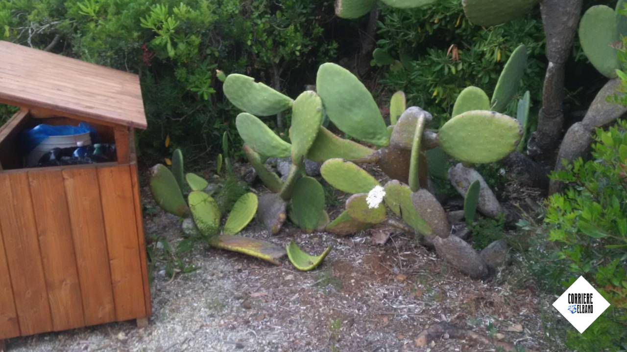 Hotel Capo Sud, il giudizio del Mystery Client