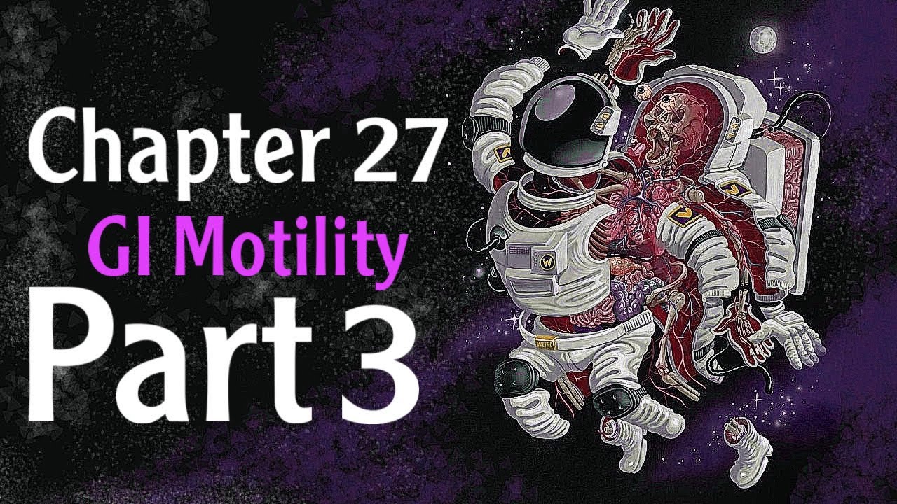 Physiology chapter 27 intestinal & colon motility part 3( فسلجة وزاري )