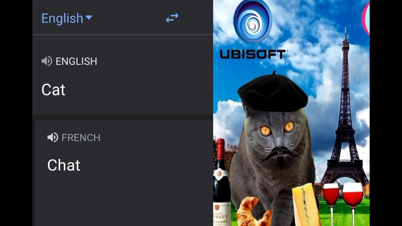 cat in different languages meme - YouTube