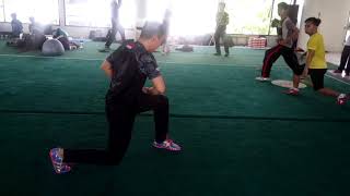 Nanquan basic 1