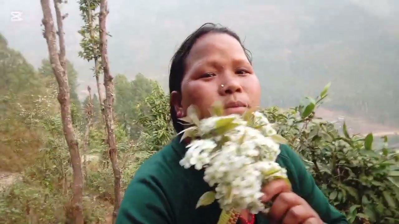 उकालिमा हिड्दा फुलफुलेर रमाइलो गाउले जीवन  