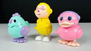 Jumping Bird Wind Up Key Operated Colorful Bird Toys for Toddlers 