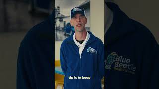 The Role Humidity Plays in Summer Pest Activity