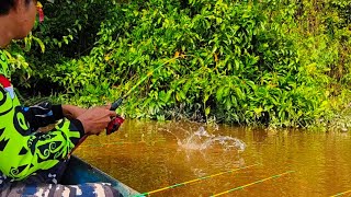 Download Lagu OPEN TRIP MANCING UDANG GALAH!! PEDALAMAN SUNGAI KALIMANTAN BARAT MP3
