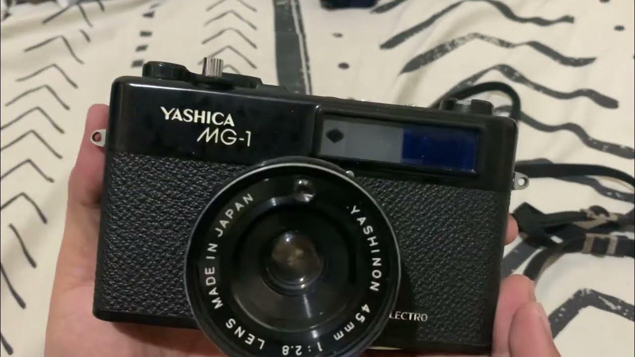 Shimdagi katta eshak