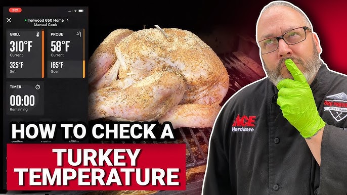 Where to Put a Thermometer in a Turkey 🍗 for Accurate Temperature