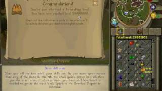 glitches at tutorial island (runescape)