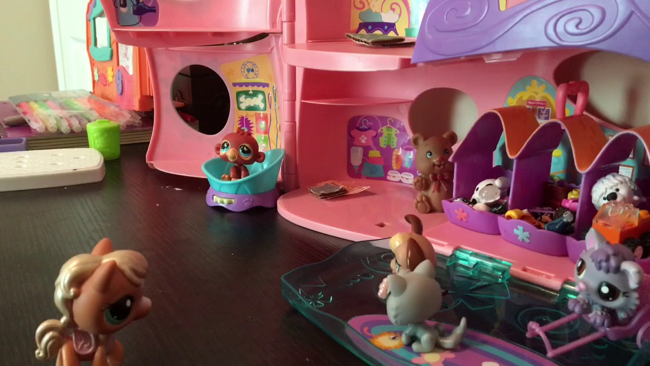 LPS-adoption center part 2