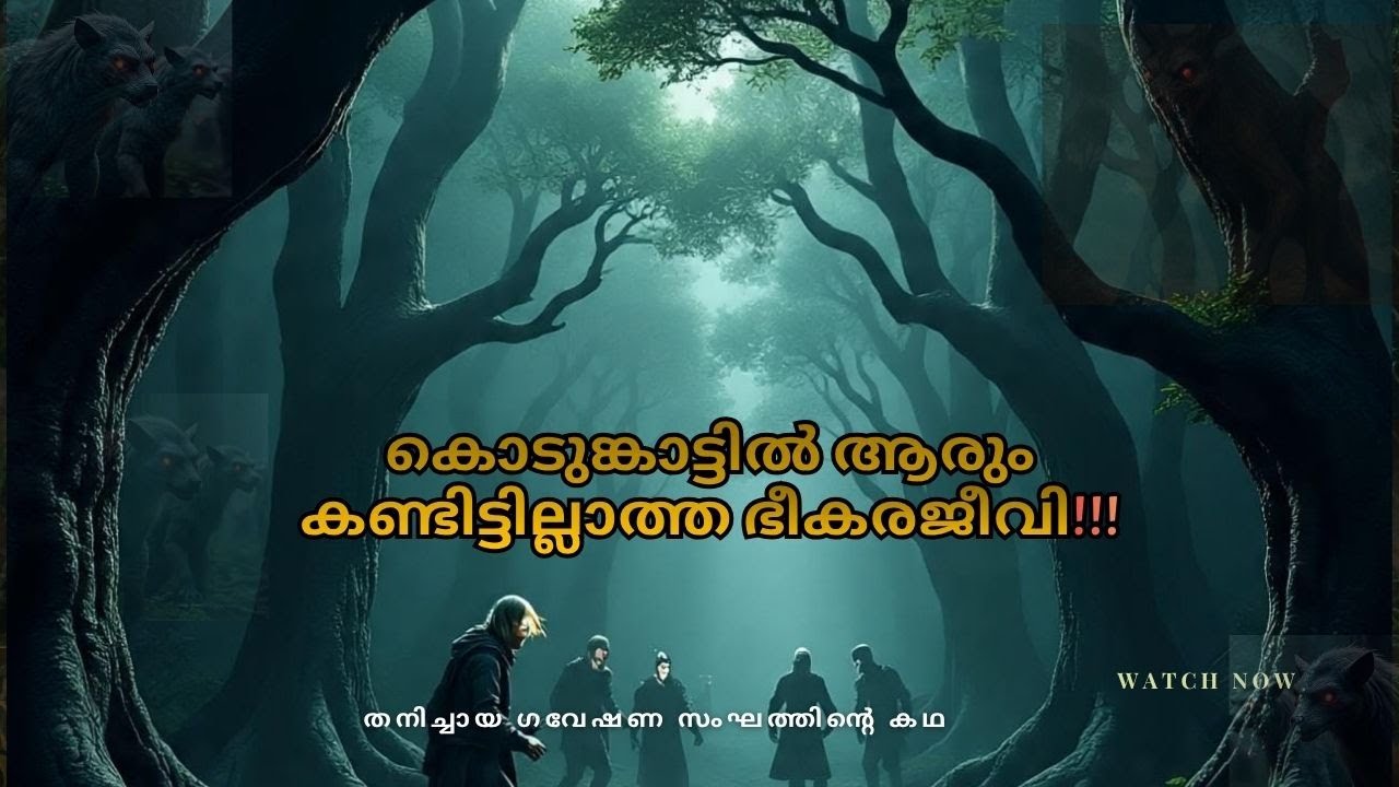 കൊടുങ്കാട്ടിൽ ആരും കണ്ടിട്ടില്ലാത്ത ഭീകരജീവി...😳#malayalammovieexplanation #moviefreaksmalayalam