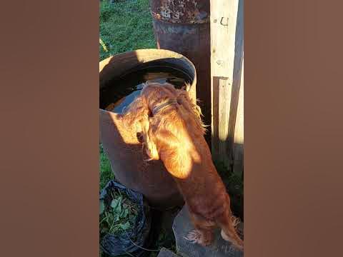 Трубы горят - YouTube