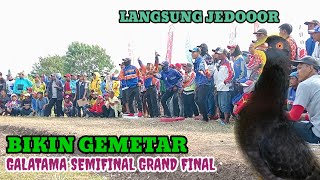 full Galatama semifinal sampai grand final merpati balap nasional bandung batu jajar 17 mei 2024