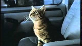 Petco Pets On A Missionmov