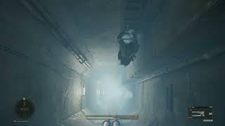 ladder