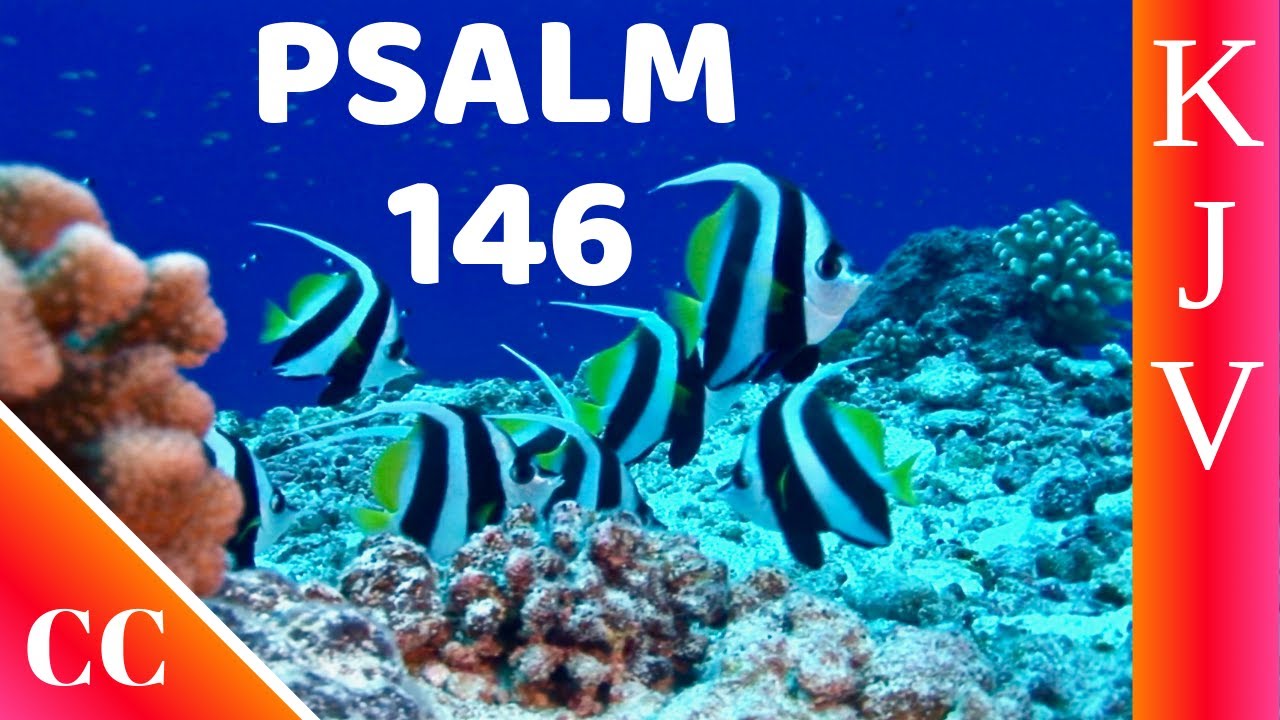 Psalm 146 - KJV - Bible Song - Scripture Song - Memorize Scripture