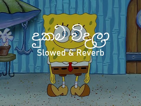 Dukama Vindala || දුකම විදලා (Slowed&Reverb) Ruwan Hettiarachchi @TharukaBeats