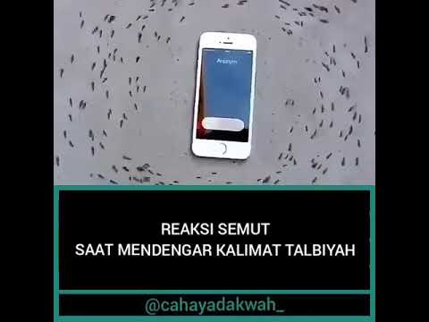 Kuasa Allah itu nyata #love #coversong #duet #hijab #talbyah #newsong #lagu