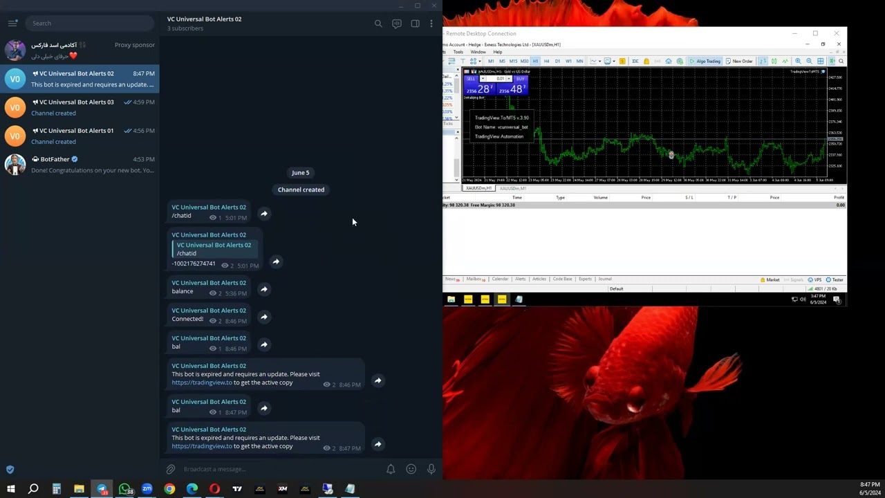 Automation Session 03 - How to Connect Tradingview to MT4/MT5 (Part 2)