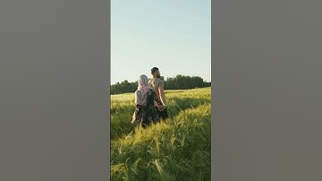 فضل قراءة سورة المائده , الشيخ بدر المشاري