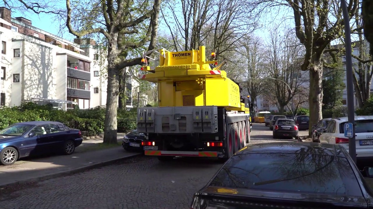 Großbaumpflanzung in Hamburg - Baumschule Lorenz von Ehren