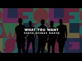 Tenth Avenue North - What You Want (Audio)
