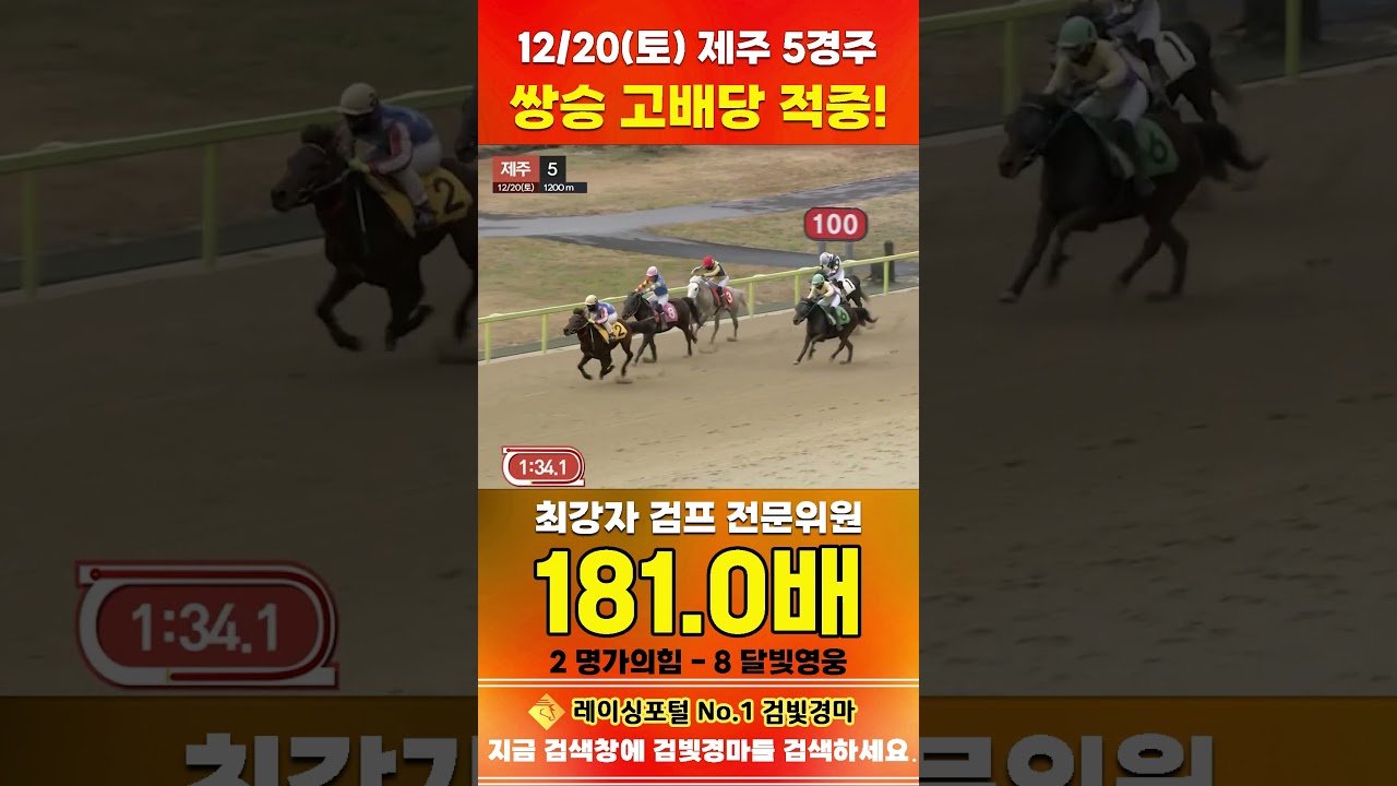 [제주 경마] 12월 20일 토요 5경주 최강자 검프 전문위원 쌍승 고배당 적중 #경마 #automobile #한국마사회 #horse #하이라이트 #게임