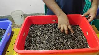 Hand sieve for black pepper and cardamom|(The Kerala spices company)